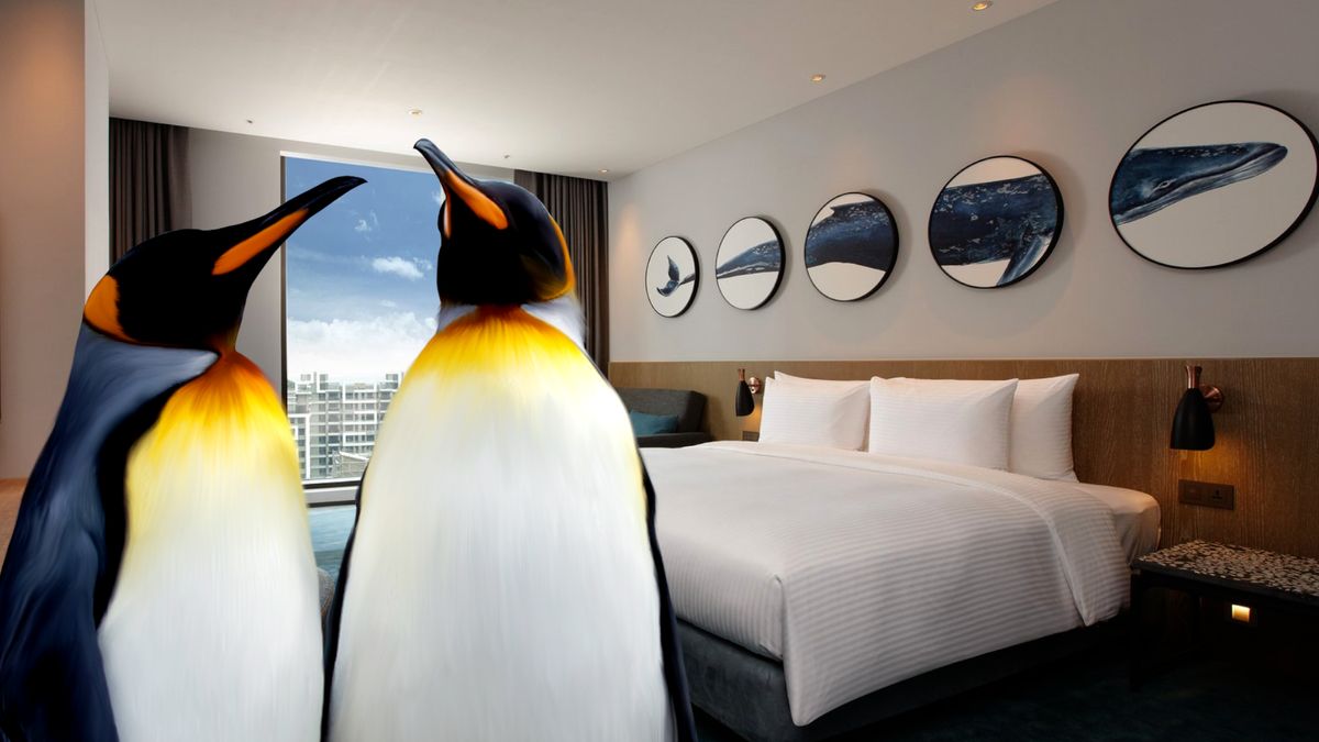 Oživení hotelů? Potrubí s tučňáky v kavárně, ukazuje vítěz pandemie